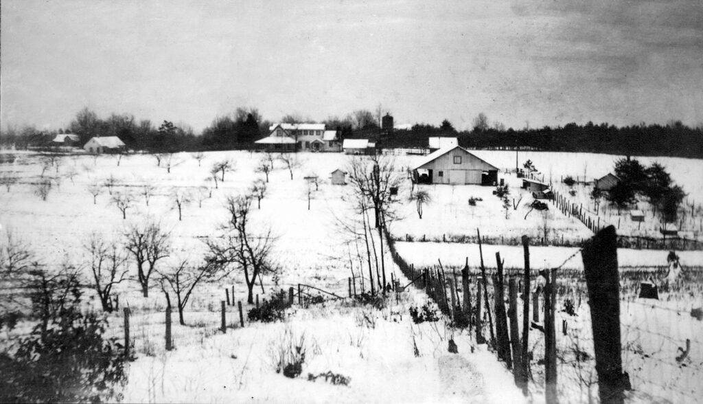 bachman property sky view black white snow