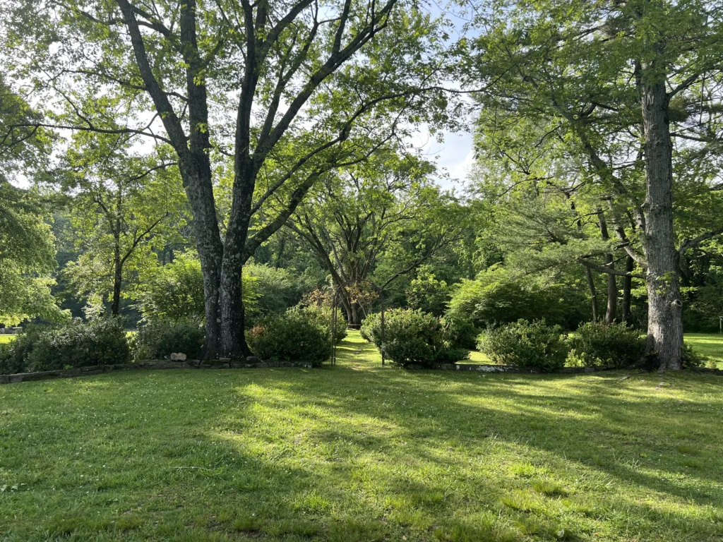 boxwood garden