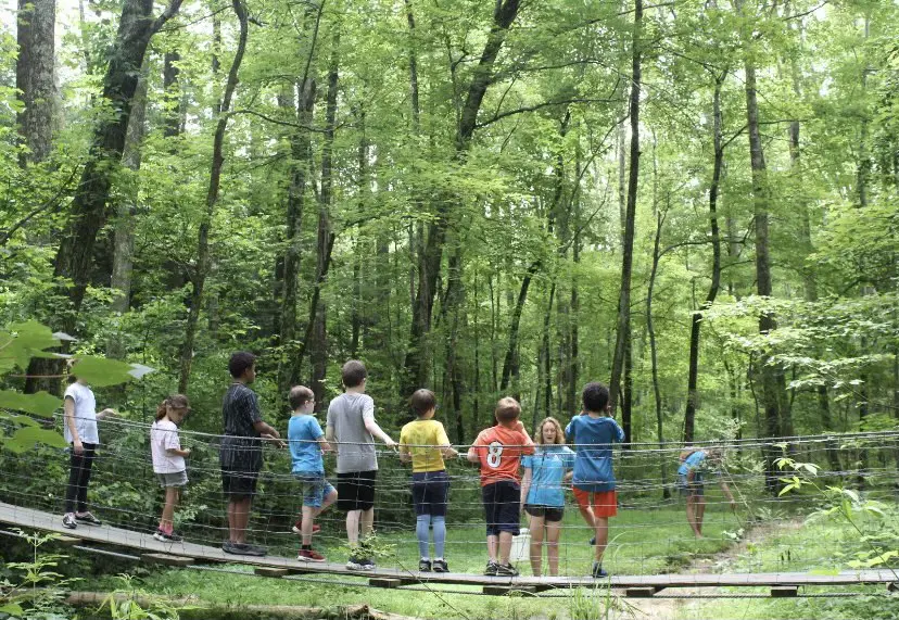 group walking on trail