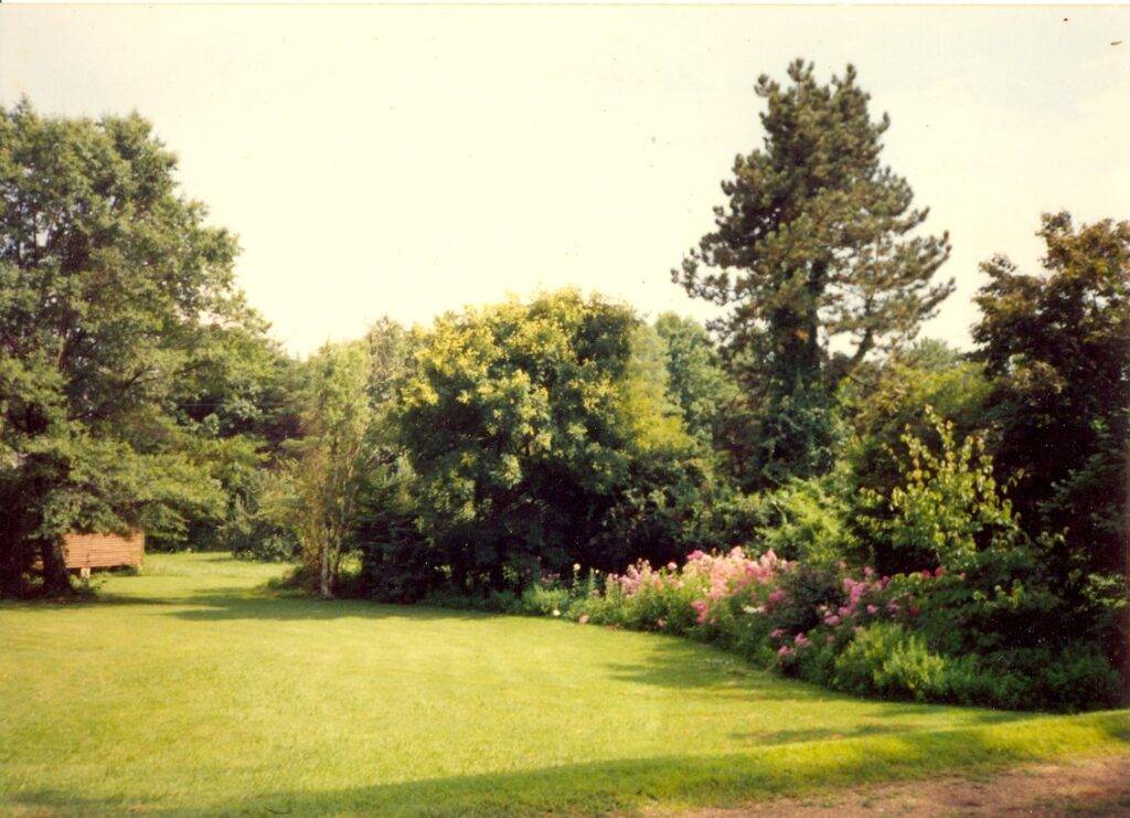 pollinator garden