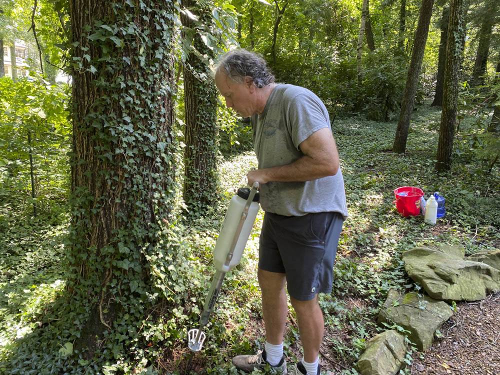 Dan Reynolds uses a soil injector to treat a hemlock at McCoy Farm and Gardens