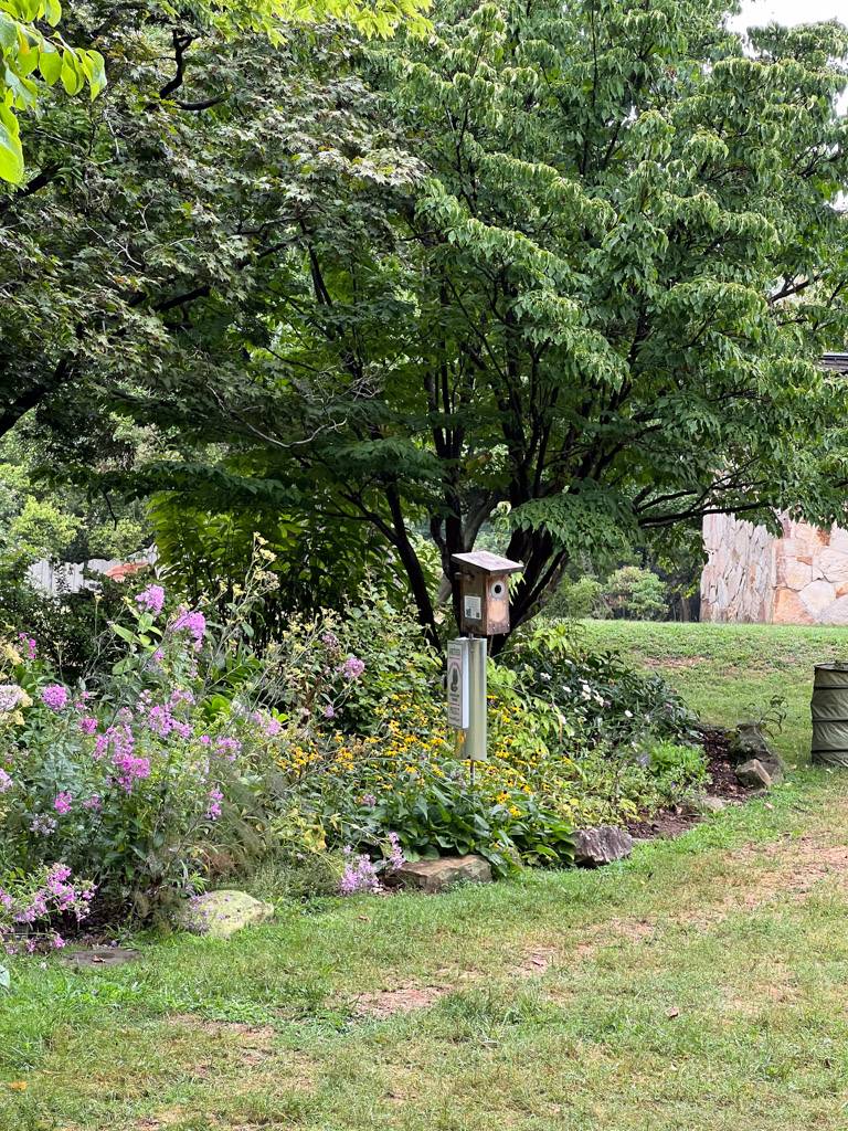 Pollinator garden in spring at McCoy Farm and Gardens