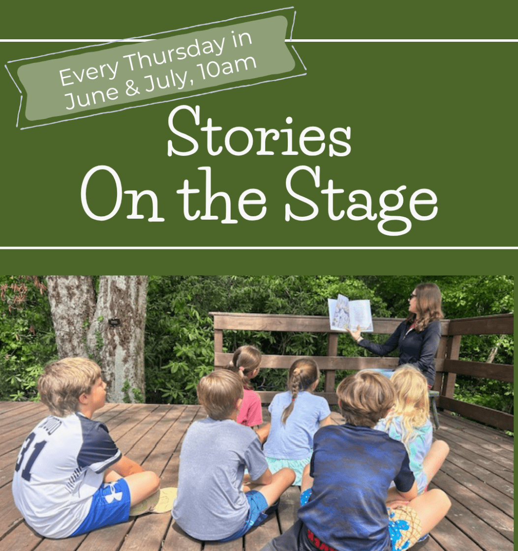 Children and a community reader at Stories on the Stage, McCoy's summer storytime series