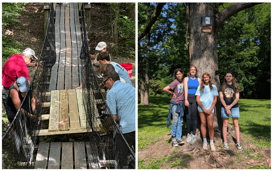Left, Grounds Group volunteers repairing the trail bridge; right, Girl Scout Troop 40487 with their installed bat box