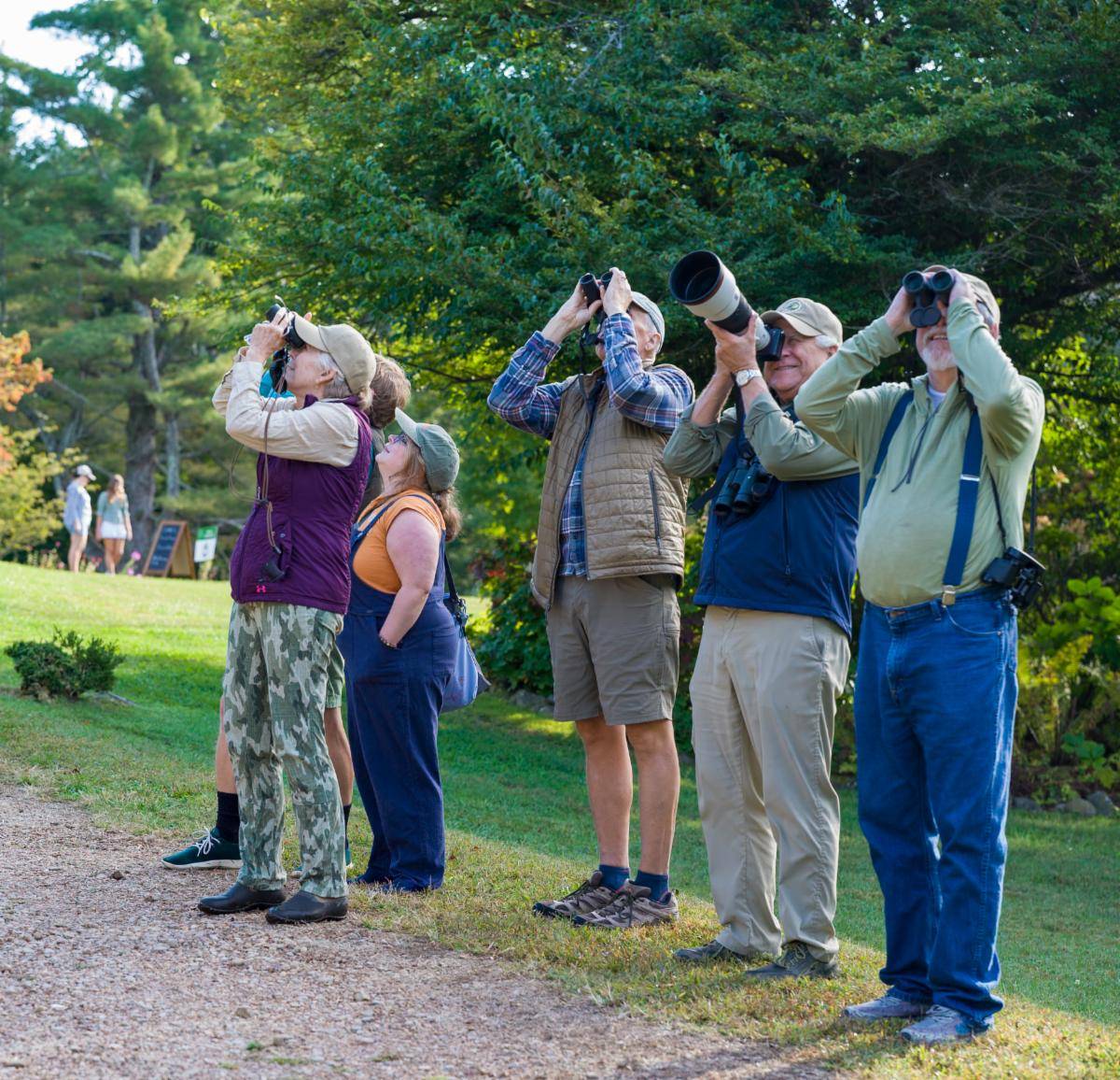 Birders using binoculars and cameras during a fall migratory bird walk at McCoy Farm and Gardens